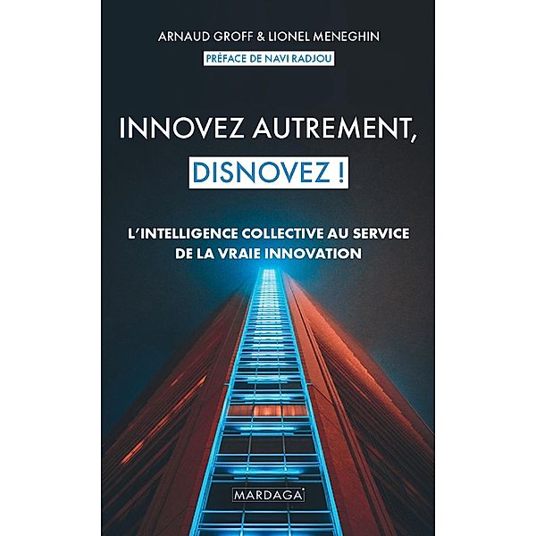 Innovez autrement, disnovez !, Arnaud Groff, Lionel Meneghin