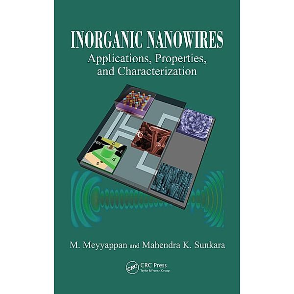 Inorganic Nanowires, M. Meyyappan, Mahendra K. Sunkara