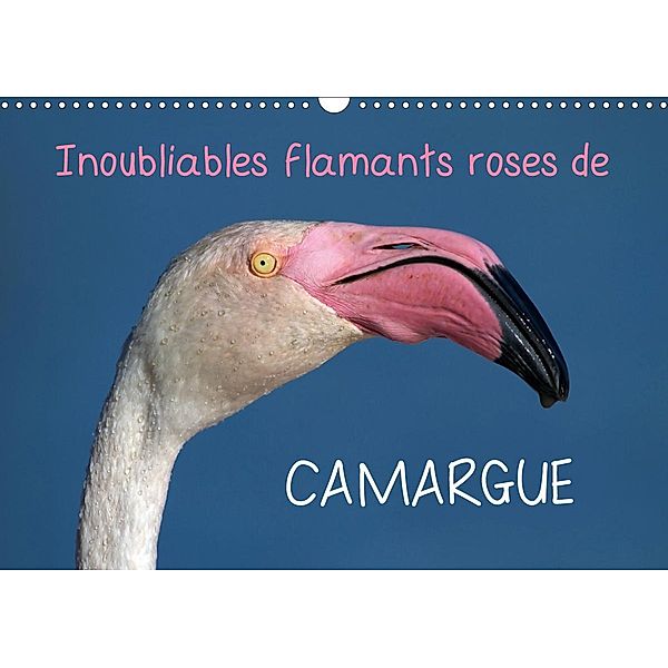 Inoubliables flamants roses de Camargue (Calendrier mural 2021 DIN A3 horizontal), Elena Duvernay