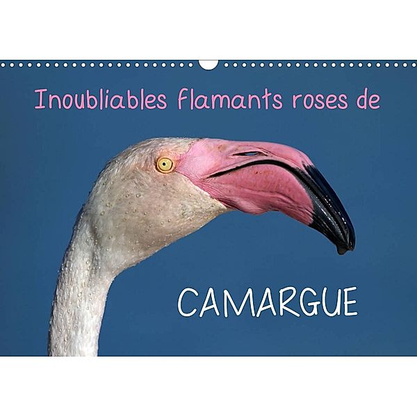 Inoubliables flamants roses de Camargue (Calendrier mural 2023 DIN A3 horizontal), Elena Duvernay