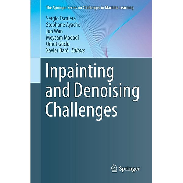 Inpainting and Denoising Challenges / The Springer Series on Challenges in Machine Learning