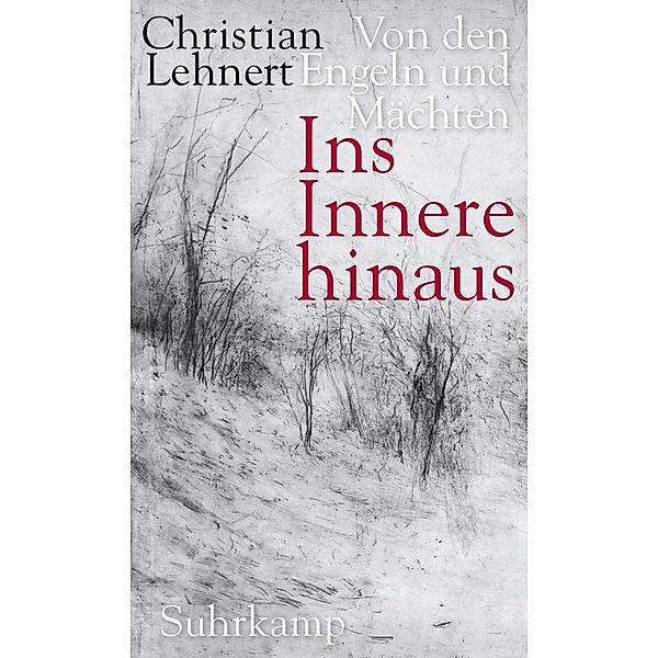 Ins Innere hinaus, Christian Lehnert