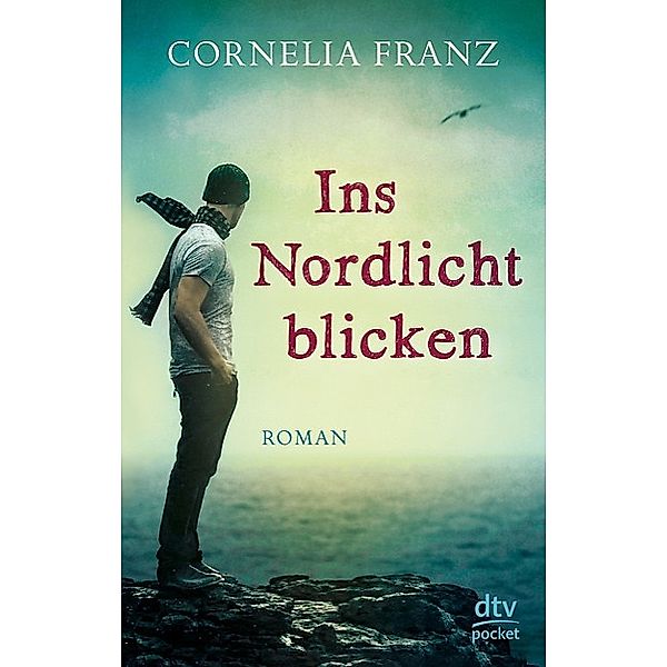 Ins Nordlicht blicken, Cornelia Franz
