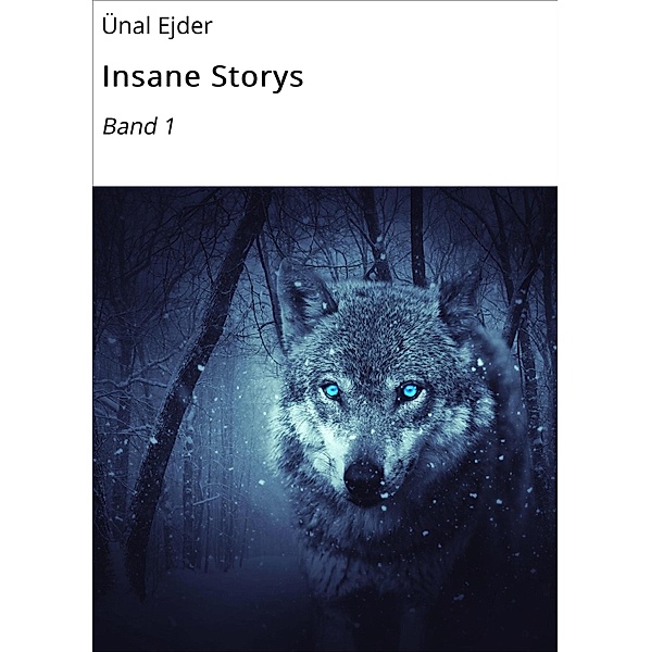 Insane Storys / Band Bd.1, Ünal Ejder