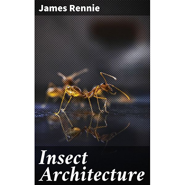 Insect Architecture, James Rennie