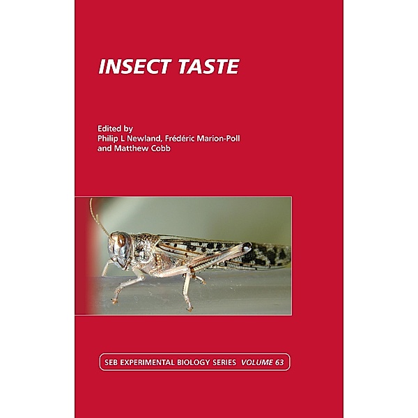 Insect Taste