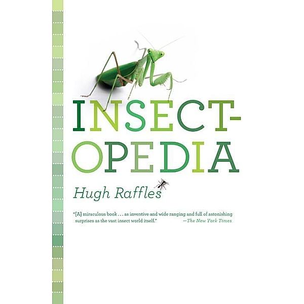 Insectopedia, Hugh Raffles