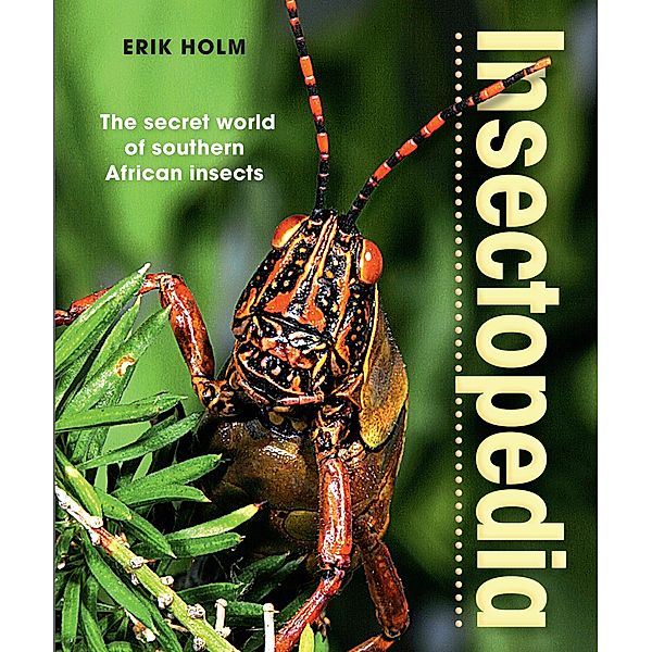 Insectopedia - The secret world of southern African insects, Erik Holm