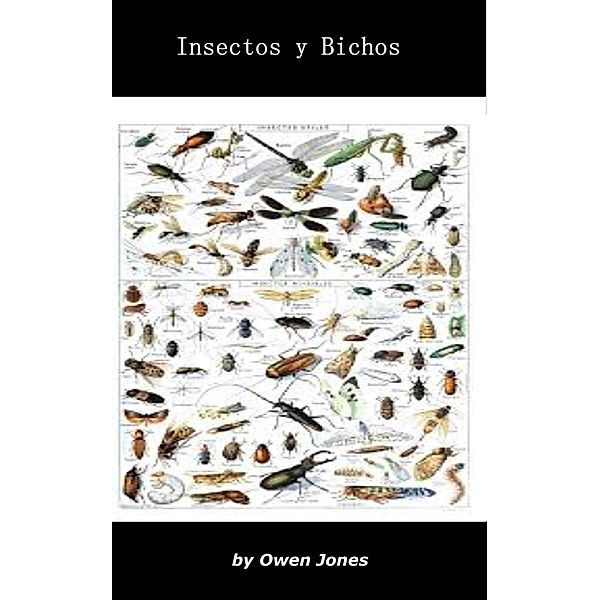 Insectos y bichos (Como hacer..., #65) / Como hacer..., Owen Jones