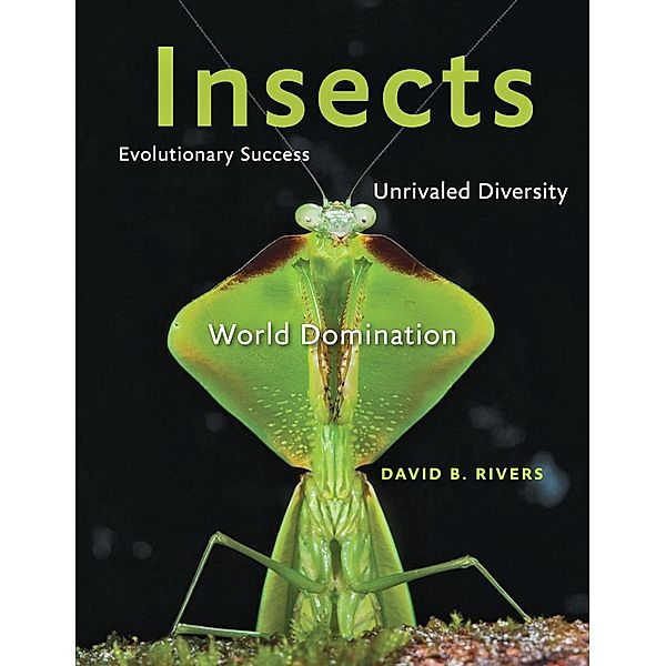 Insects, David B. Rivers