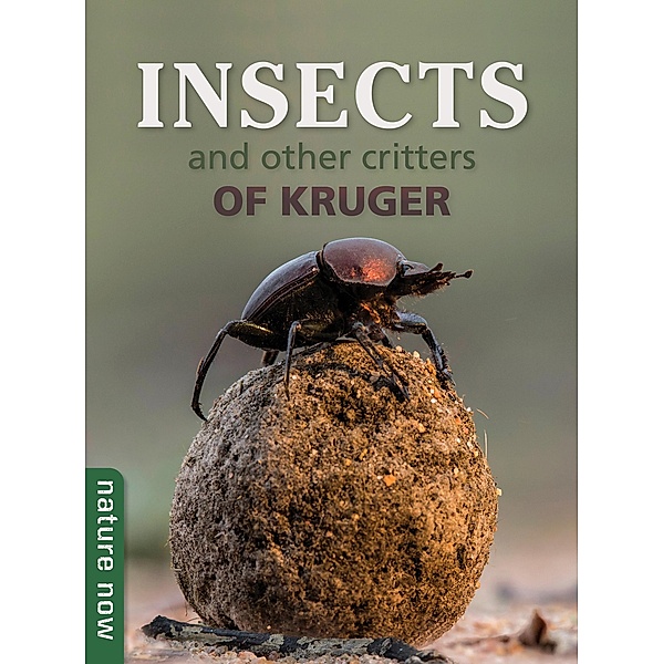 Insects and other Critters of Kruger, Joan Young