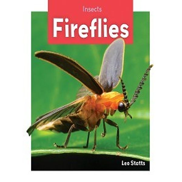 Insects: Fireflies, Julie Murray