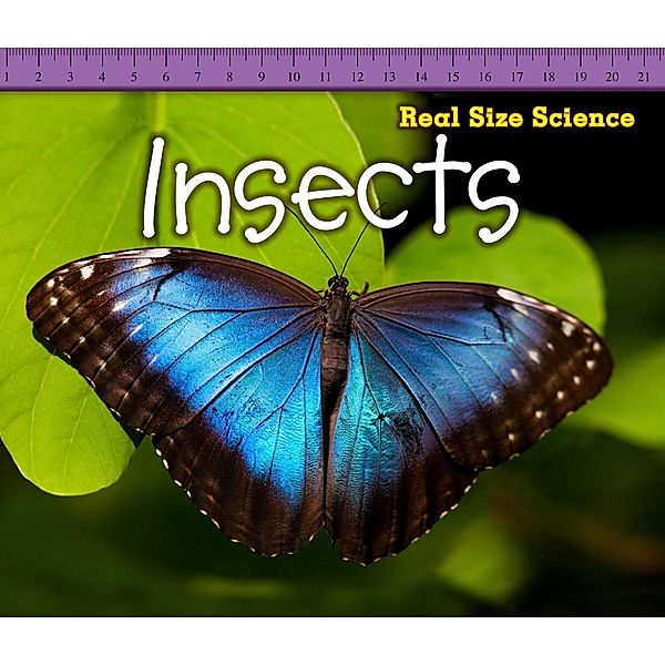 Insects / Raintree Publishers, Rebecca Rissman