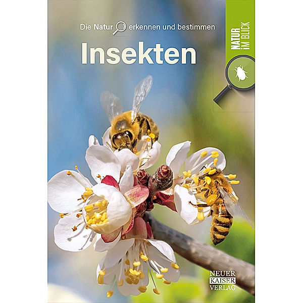 Insekten