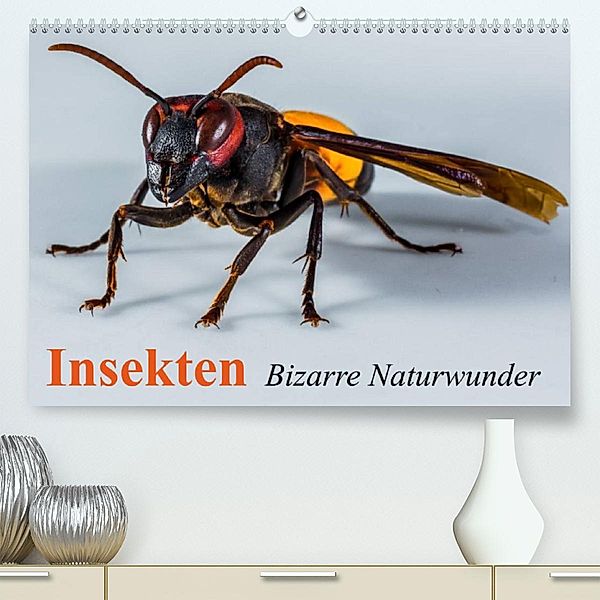 Insekten - Bizarre Naturwunder (Premium, hochwertiger DIN A2 Wandkalender 2023, Kunstdruck in Hochglanz), Elisabeth Stanzer