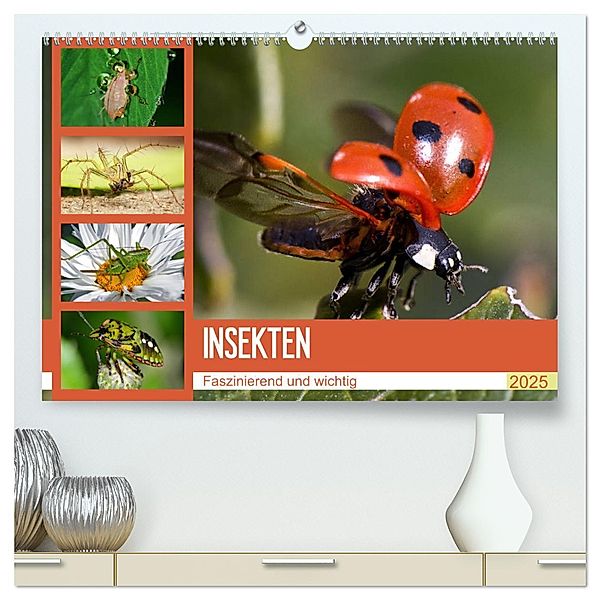 Insekten. Faszinierend und wichtig (hochwertiger Premium Wandkalender 2025 DIN A2 quer), Kunstdruck in Hochglanz, Calvendo, Elisabeth Stanzer