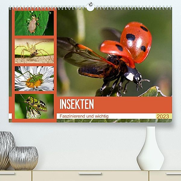 Insekten. Faszinierend und wichtig (Premium, hochwertiger DIN A2 Wandkalender 2023, Kunstdruck in Hochglanz), Elisabeth Stanzer