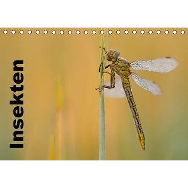 Insekten ganz nah (Tischkalender 2016 DIN A5 quer), Denny Hildenbrandt