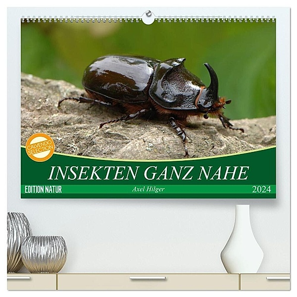 INSEKTEN GANZ NAHE (hochwertiger Premium Wandkalender 2024 DIN A2 quer), Kunstdruck in Hochglanz, Axel Hilger
