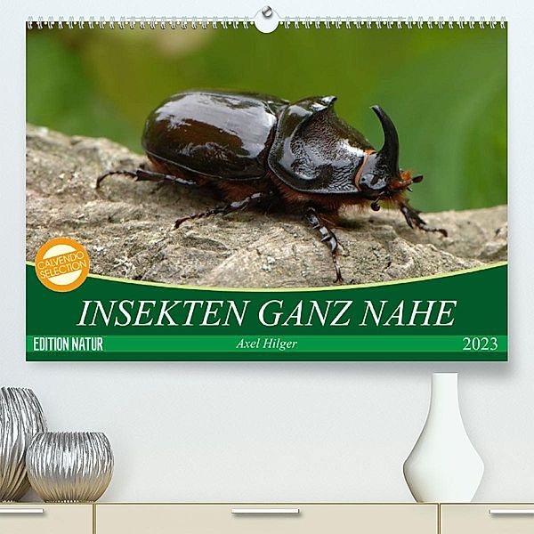 INSEKTEN GANZ NAHE (Premium, hochwertiger DIN A2 Wandkalender 2023, Kunstdruck in Hochglanz), Axel Hilger