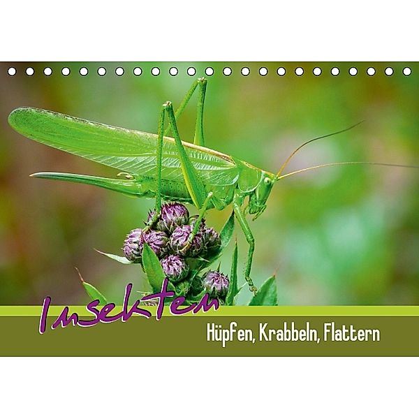 Insekten - Hüpfen, Krabbeln, Flattern (Tischkalender 2014 DIN A5 quer)