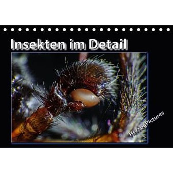 Insekten im Detail (Tischkalender 2015 DIN A5 quer), HerzogPictures