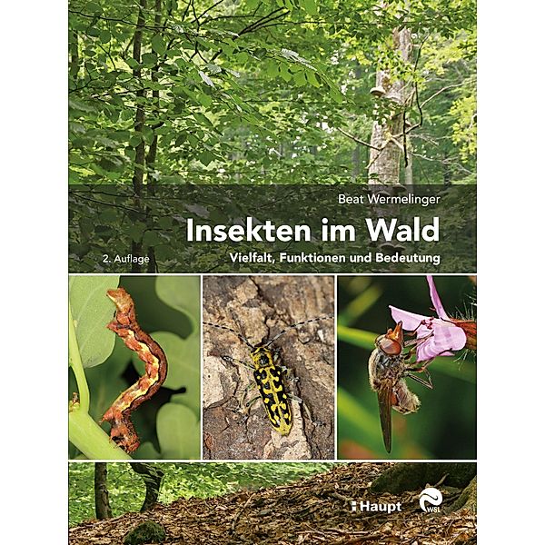 Insekten im Wald, Beat Wermelinger