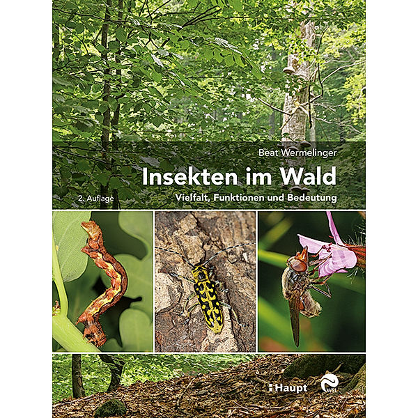 Insekten im Wald, Beat Wermelinger