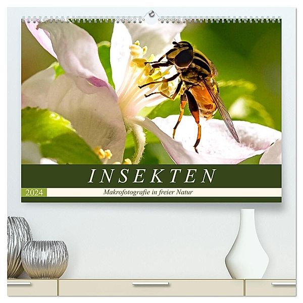 INSEKTEN - Makrofotografie in freier Natur (hochwertiger Premium Wandkalender 2024 DIN A2 quer), Kunstdruck in Hochglanz, Andrea Dreegmeyer