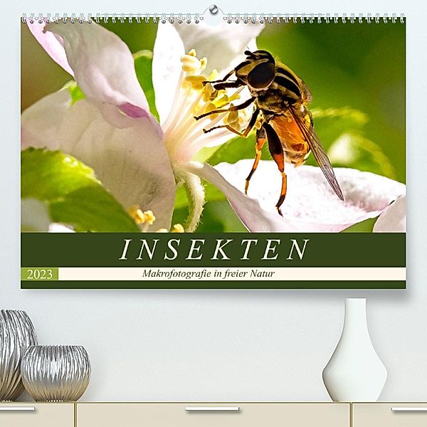 INSEKTEN - Makrofotografie in freier Natur (Premium, hochwertiger DIN A2 Wandkalender 2023, Kunstdruck in Hochglanz), Andrea Dreegmeyer