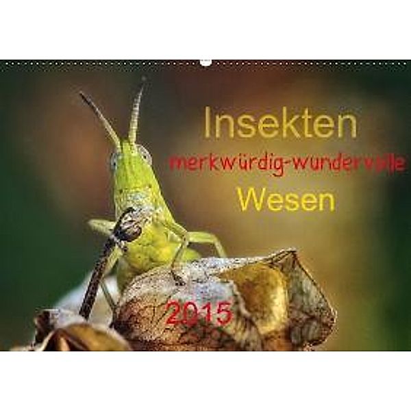 Insekten, merkwürdig-wundervolle Wesen 2015 (Wandkalender 2015 DIN A2 quer), Hernegger Arnold