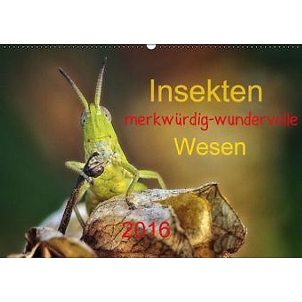 Insekten, merkwürdig-wundervolle Wesen 2016 (Wandkalender 2016 DIN A2 quer), Hernegger Arnold