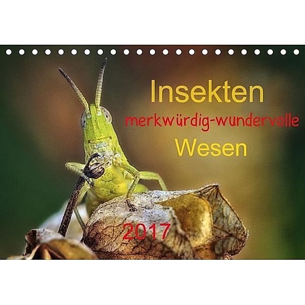 Insekten, merkwürdig-wundervolle Wesen 2017 (Tischkalender 2017 DIN A5 quer), Hernegger Arnold