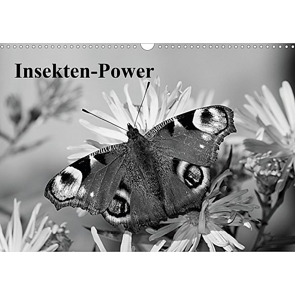 Insekten-Power (Posterbuch DIN A3 quer), Bernd Witkowski