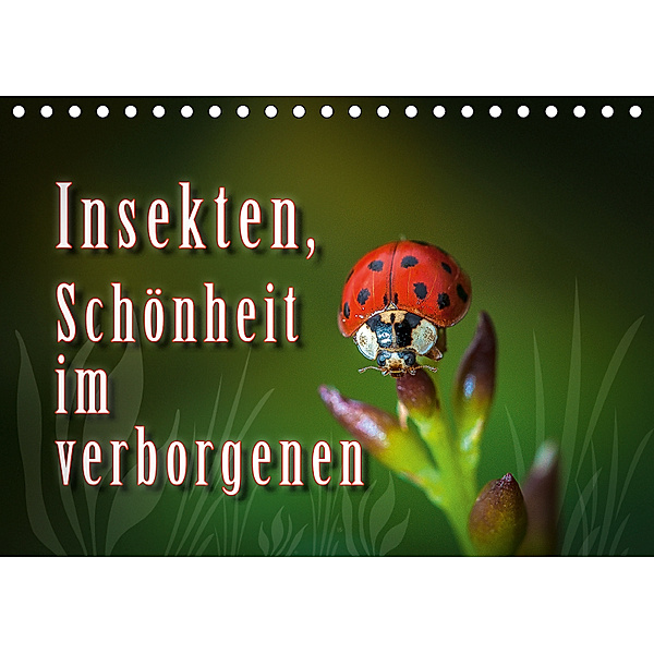 Insekten, Schönheit im verborgenen (Tischkalender 2019 DIN A5 quer), Dieter Gödecke