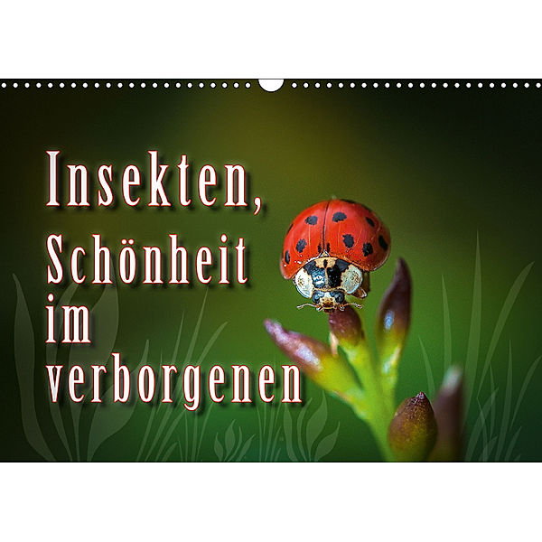 Insekten, Schönheit im verborgenen (Wandkalender 2019 DIN A3 quer), Dieter Gödecke