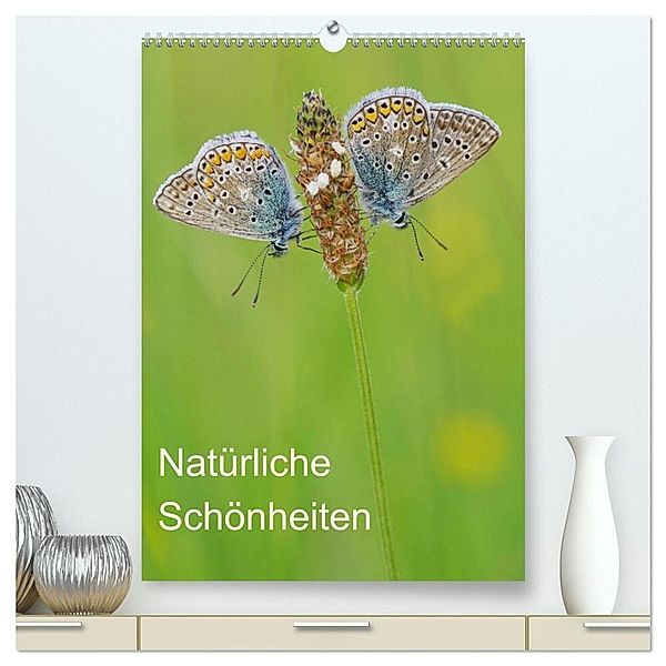 Insekten,Schönheiten der Natur (hochwertiger Premium Wandkalender 2025 DIN A2 hoch), Kunstdruck in Hochglanz, Calvendo, Jürgen Blum