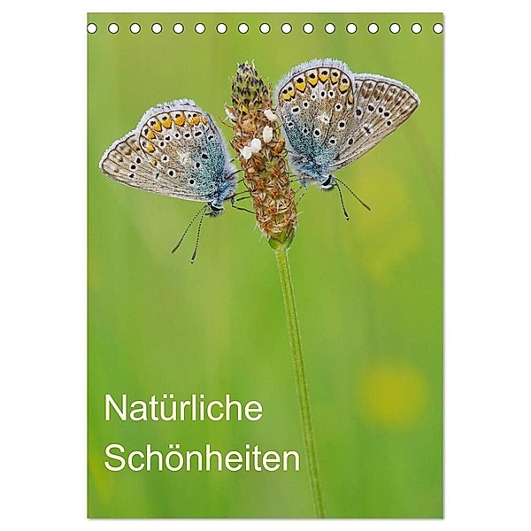 Insekten,Schönheiten der Natur (Tischkalender 2024 DIN A5 hoch), CALVENDO Monatskalender, Jürgen Blum
