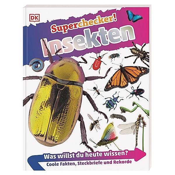 Insekten / Superchecker! Bd.17, Andrea Mills