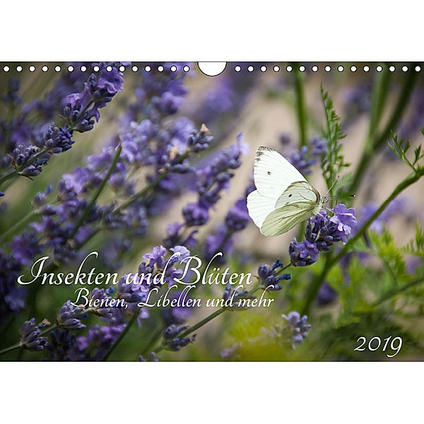 Insekten und Blüten - Bienen, Libellen und mehr (Wandkalender 2019 DIN A4 quer), Barbara Wilms