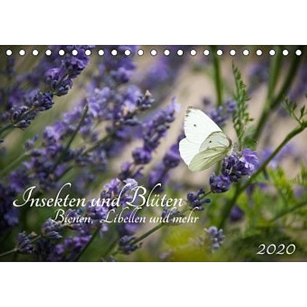 Insekten und Blüten - Bienen, Libellen und mehr (Tischkalender 2020 DIN A5 quer), Barbara Wilms