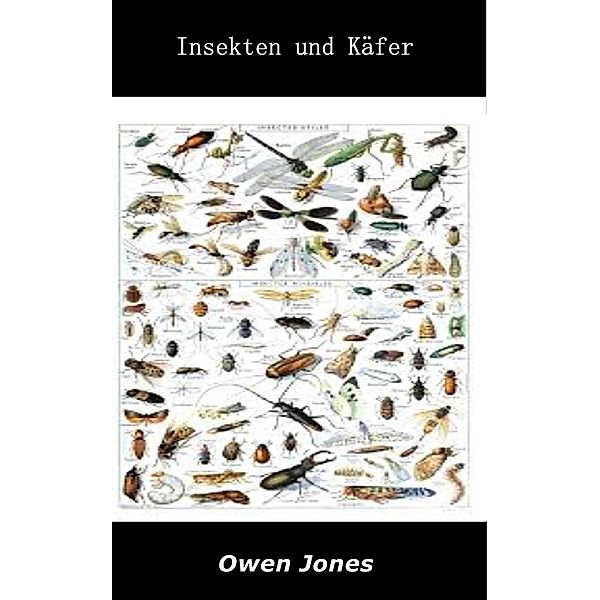 Insekten und Käfer (So geht's... Serie, #65) / So geht's... Serie, Owen Jones