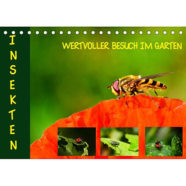 Insekten - wertvolle Gäste im Garten (Tischkalender 2022 DIN A5 quer), Brinja Schmidt