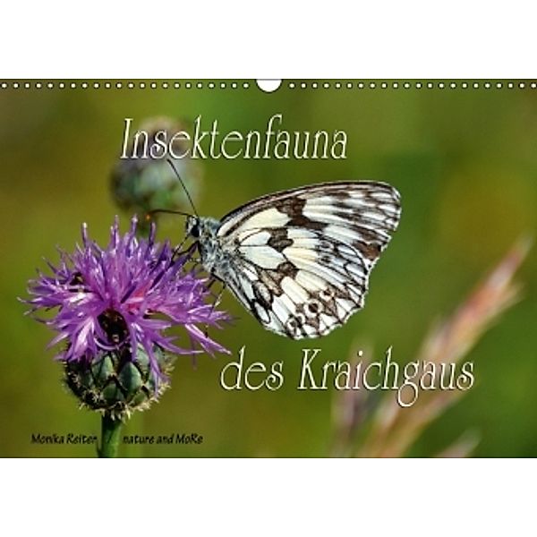Insektenfauna des Kraichgaus (Wandkalender 2016 DIN A3 quer), Monika Reiter
