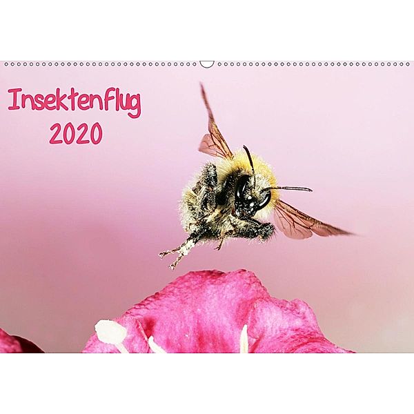 Insektenflug 2020 (Wandkalender 2020 DIN A2 quer), Jürgen Schmidt