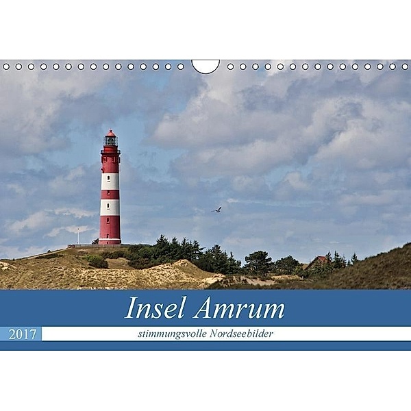 Insel Amrum - stimmungsvolle NordseebilderCH-Version (Wandkalender 2017 DIN A4 quer), Andrea Potratz