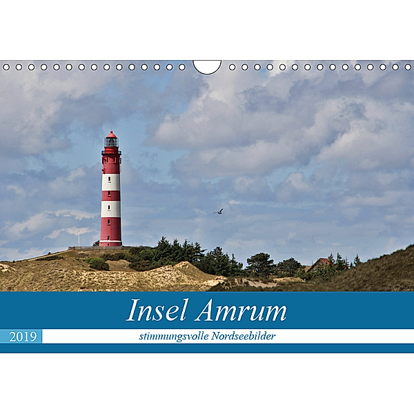 Insel Amrum - stimmungsvolle NordseebilderCH-Version (Wandkalender 2019 DIN A4 quer), Andrea Potratz
