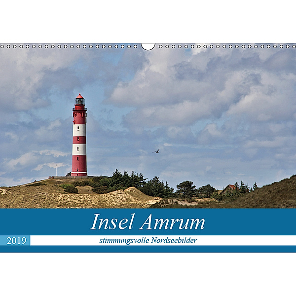 Insel Amrum - stimmungsvolle NordseebilderCH-Version (Wandkalender 2019 DIN A3 quer), Andrea Potratz