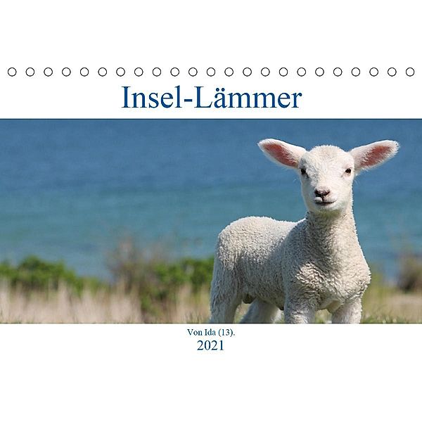 Insel-Lämmer (Tischkalender 2021 DIN A5 quer), Ida Kaminski
