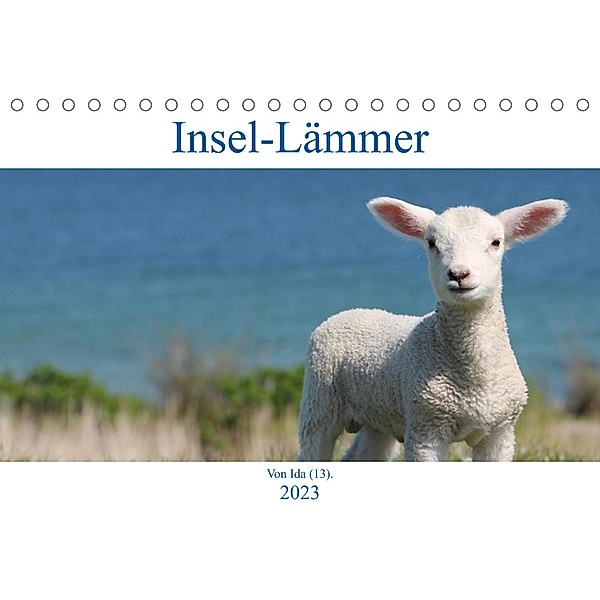 Insel-Lämmer (Tischkalender 2023 DIN A5 quer), Ida Kaminski